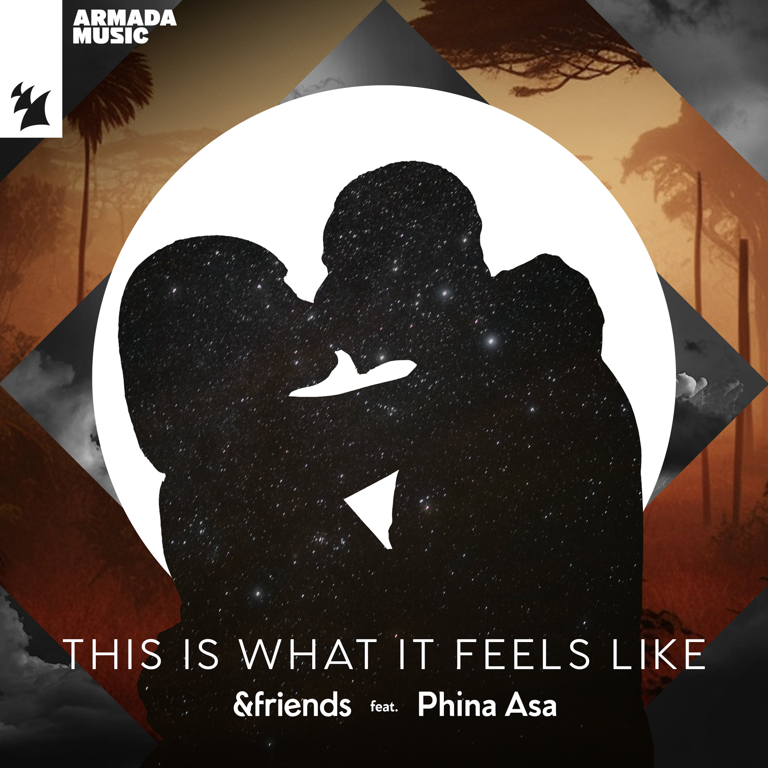 TIWIFL w. armada logo.png