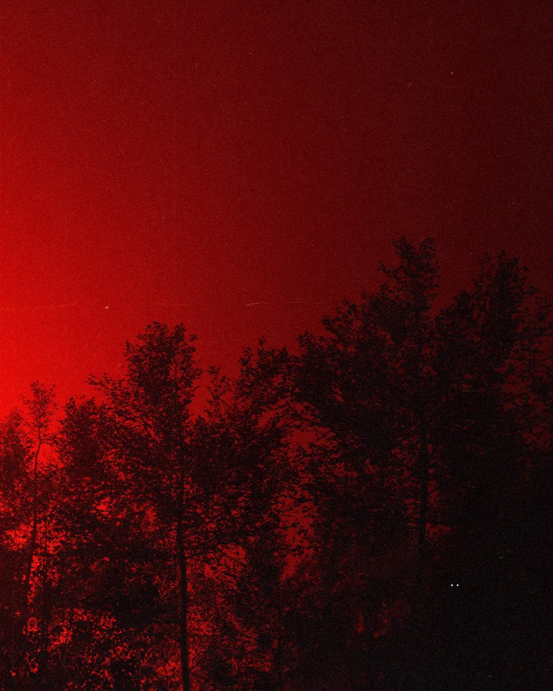 5.31.26