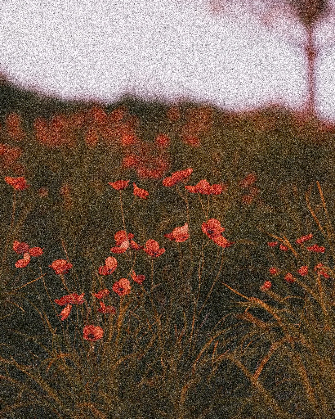 6.7.26

almost forgot to make something today