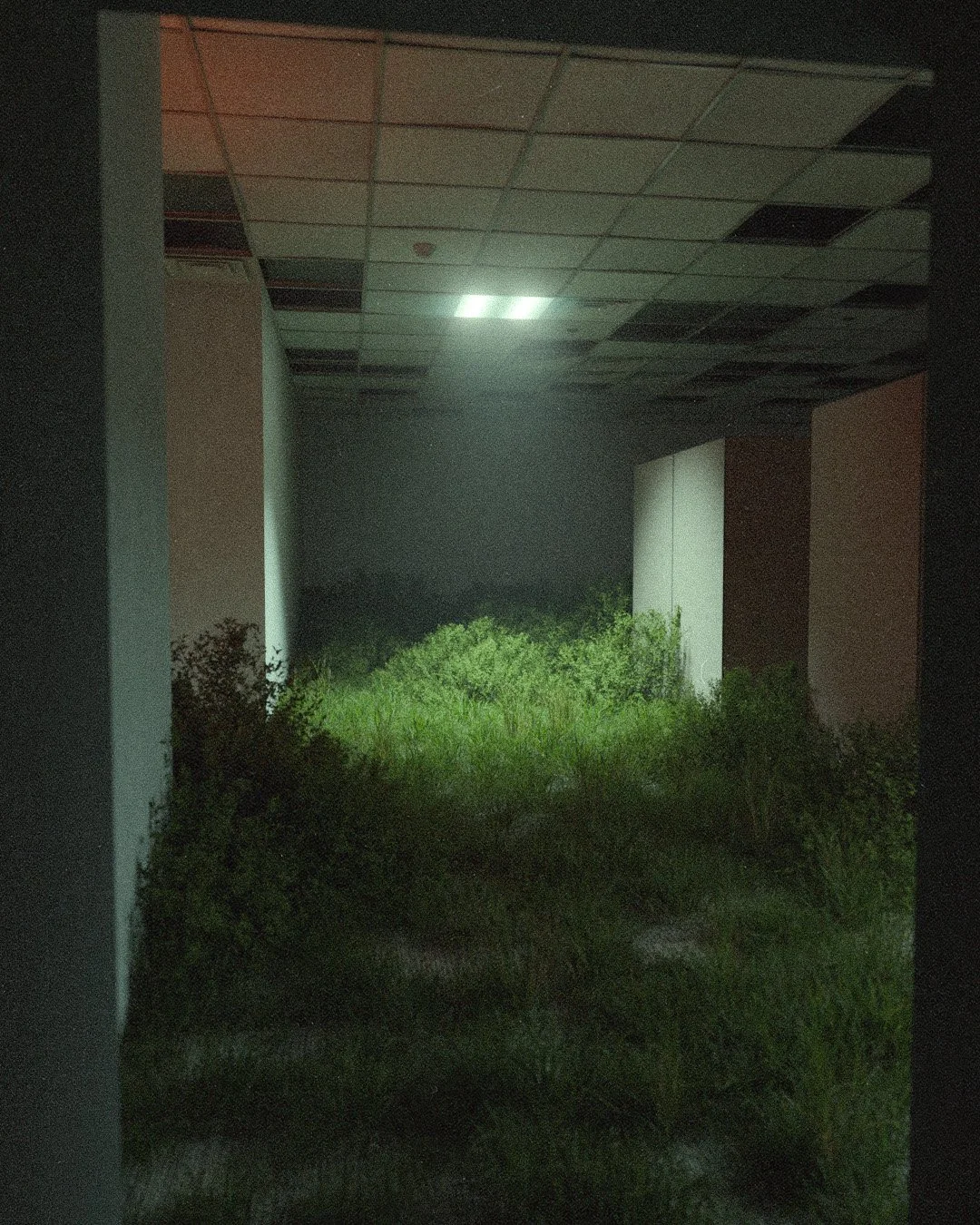 6.8.26

Some backrooms vibes