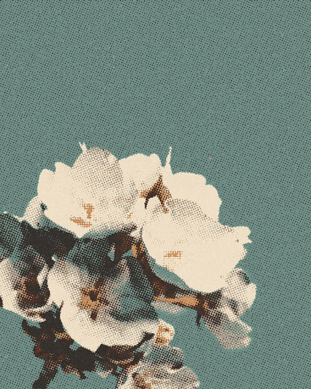 10.8.26