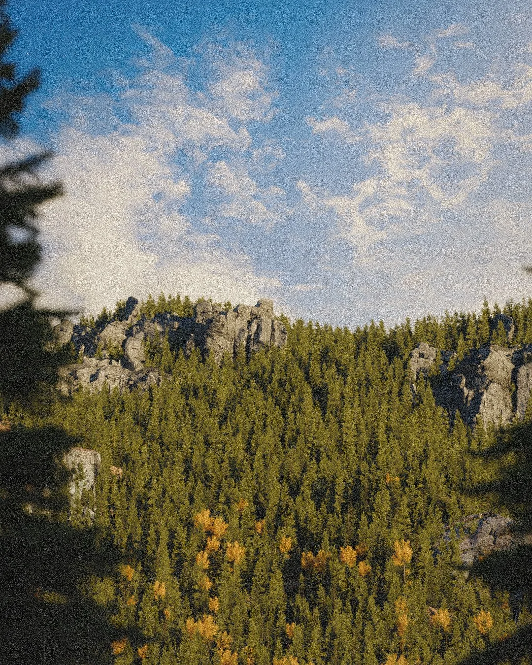 10.10.26

Trying to recreate some bocan vibes