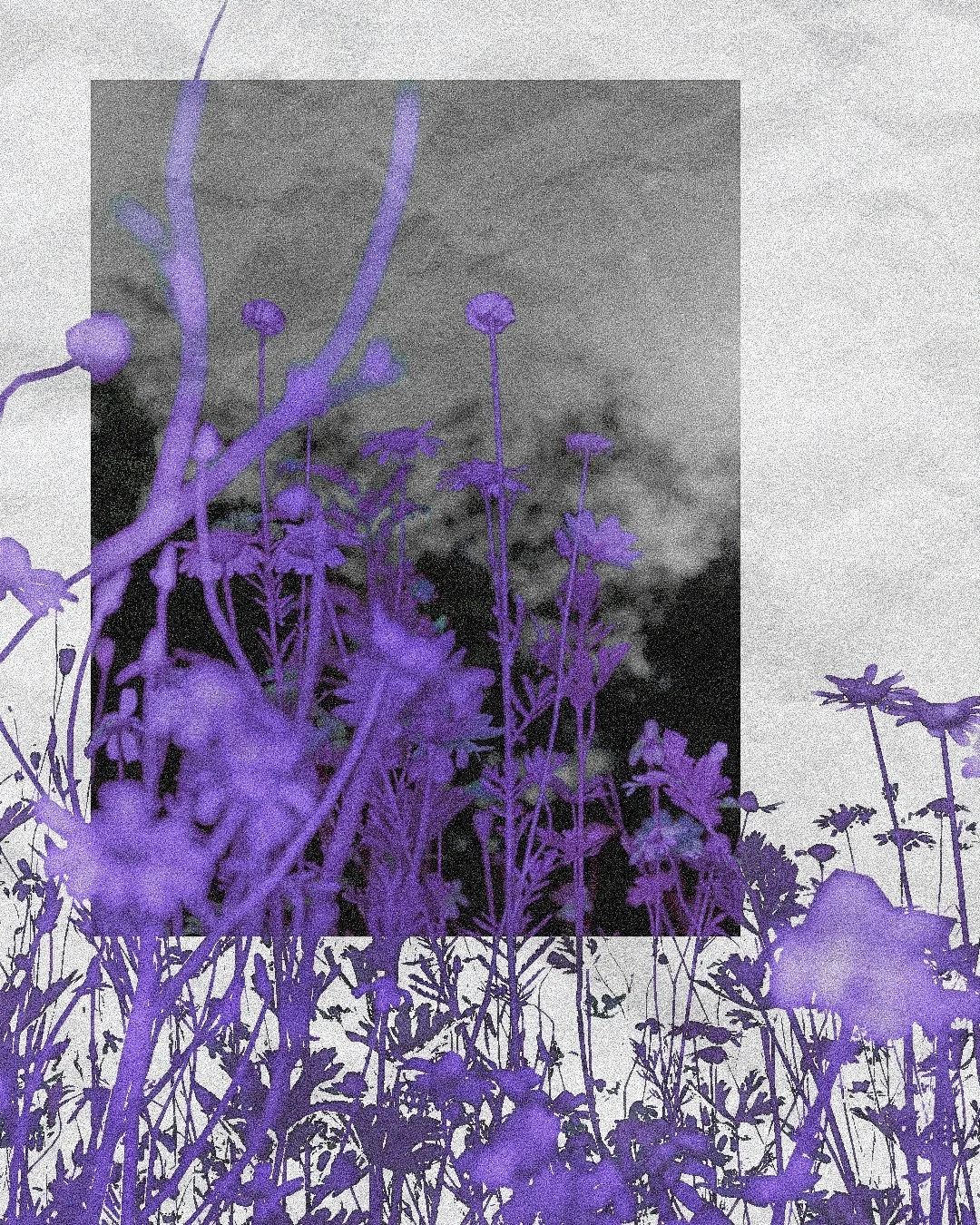 10.16.26