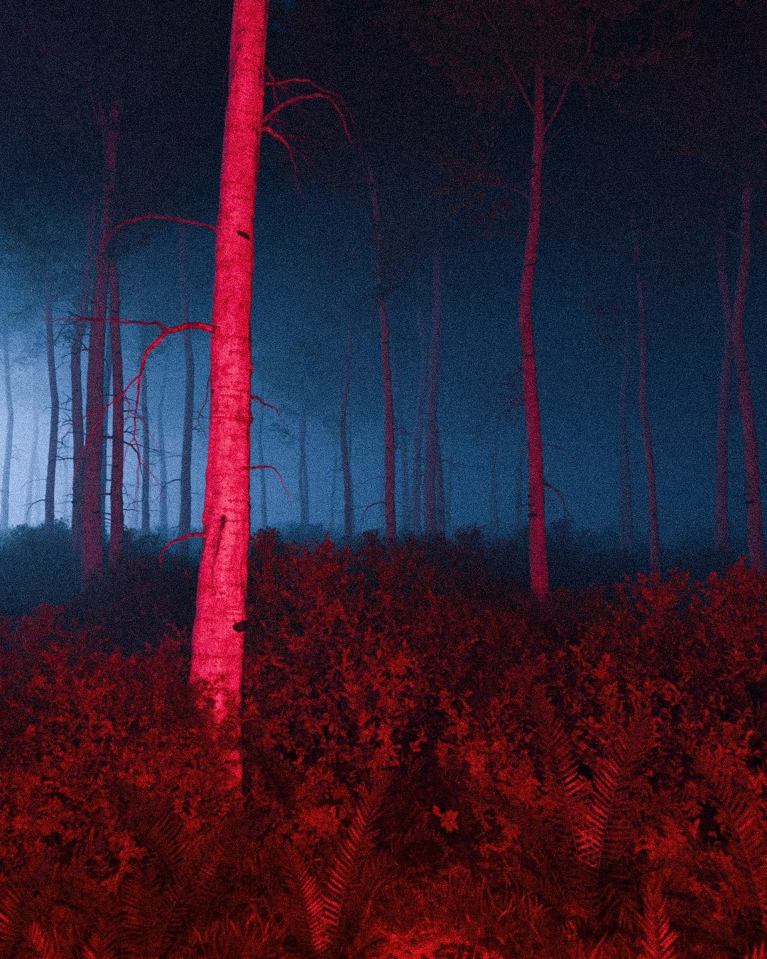 10.20.26