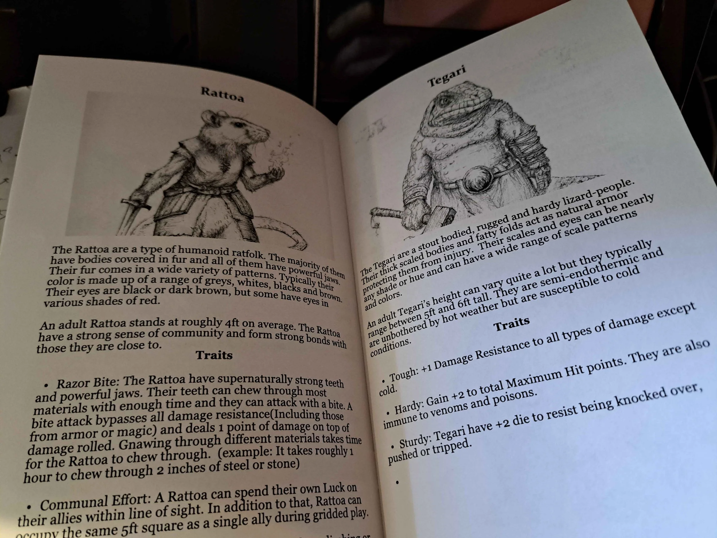 A POV photo of me hold the test print of the booklet. The pages show depict the speices info for the Ratfolk (Rattoa) and Lizardfolk (Tegari).