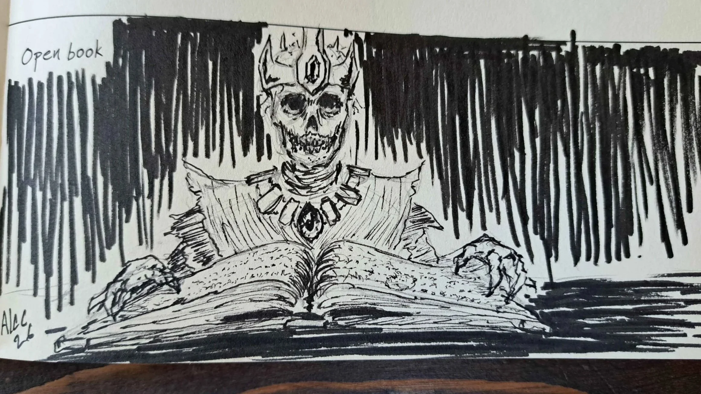 A pen and marker sketch I did in a communal sketch book full of drawing prompts. This sketch is of a lich with an open book in front of her.