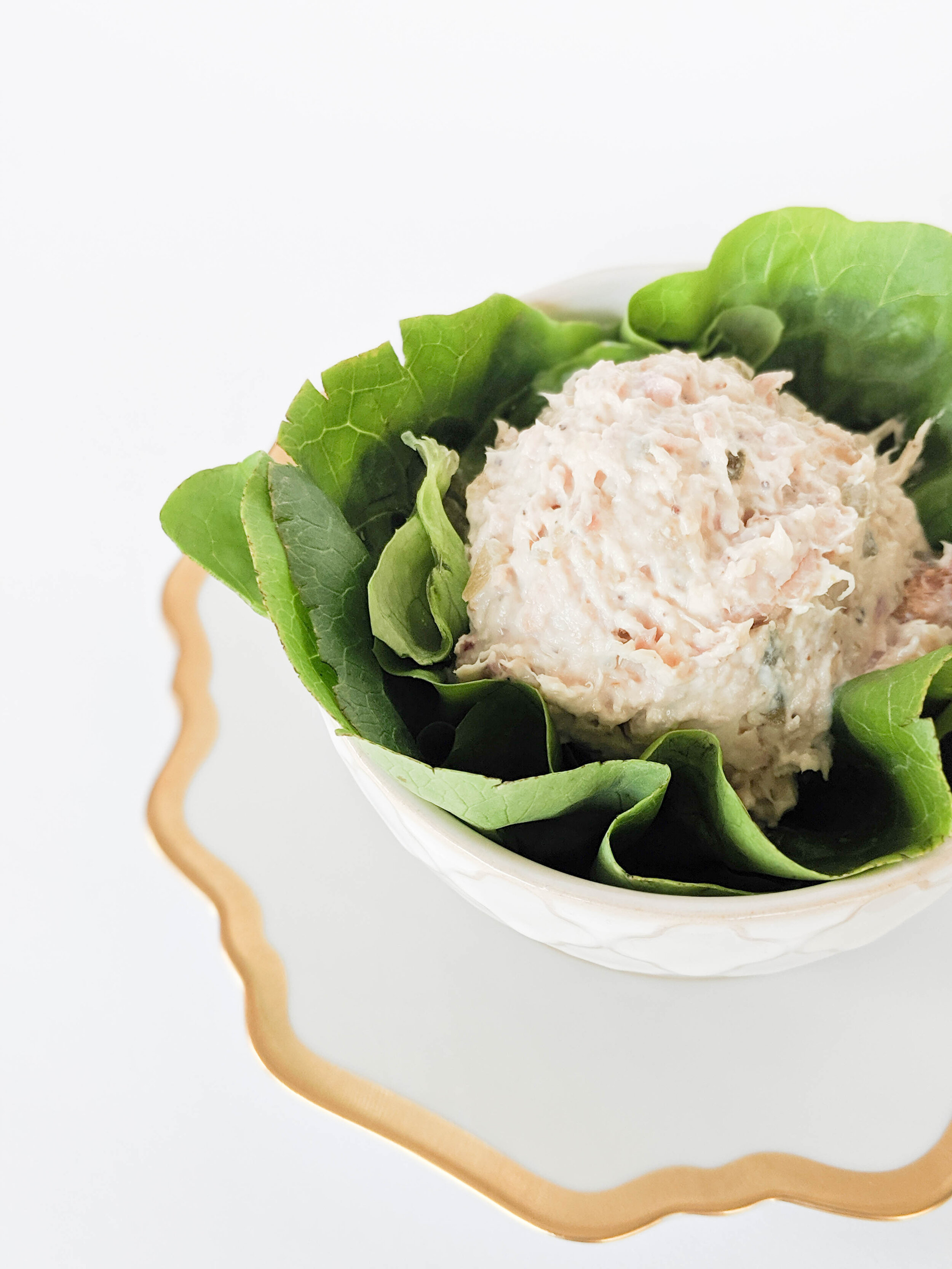 scoop chicken salad.jpg