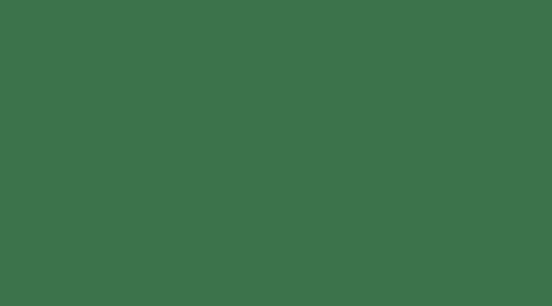TRP_Backgrounds-greenplain-01.png