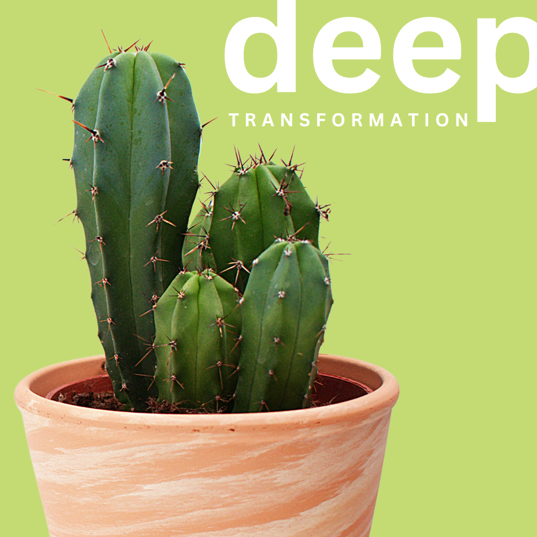 damascus road value deep transformation