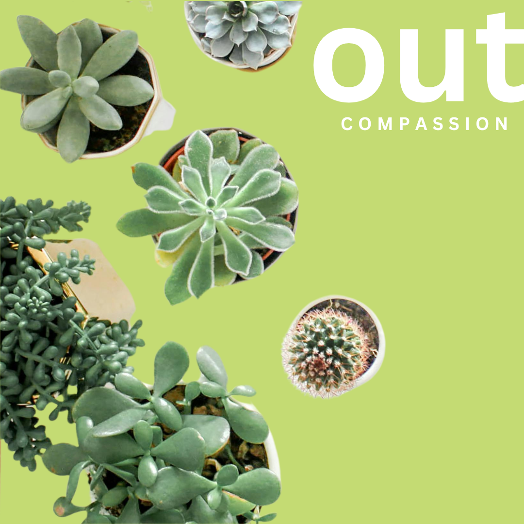 damascus road value out compassion