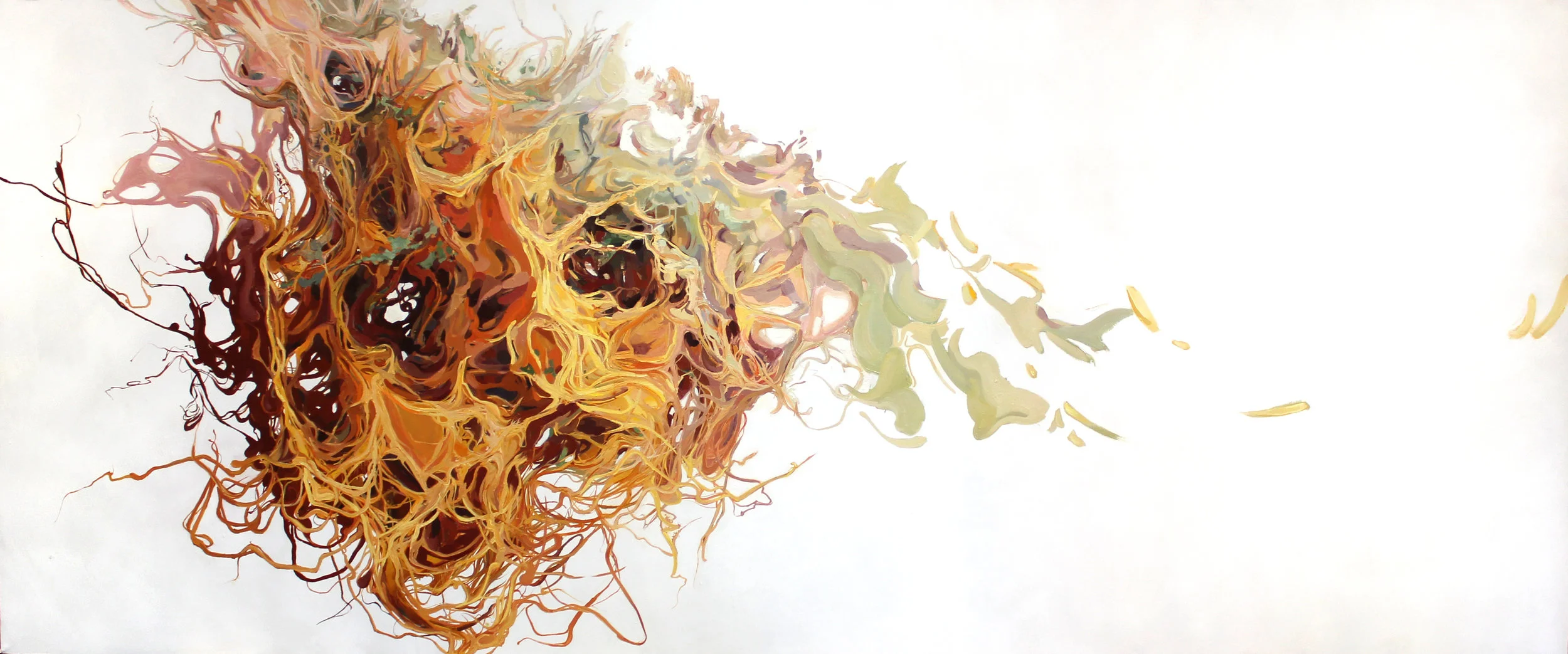 Copy of Natural_Mechanics_Displaced_Dodder.jpg