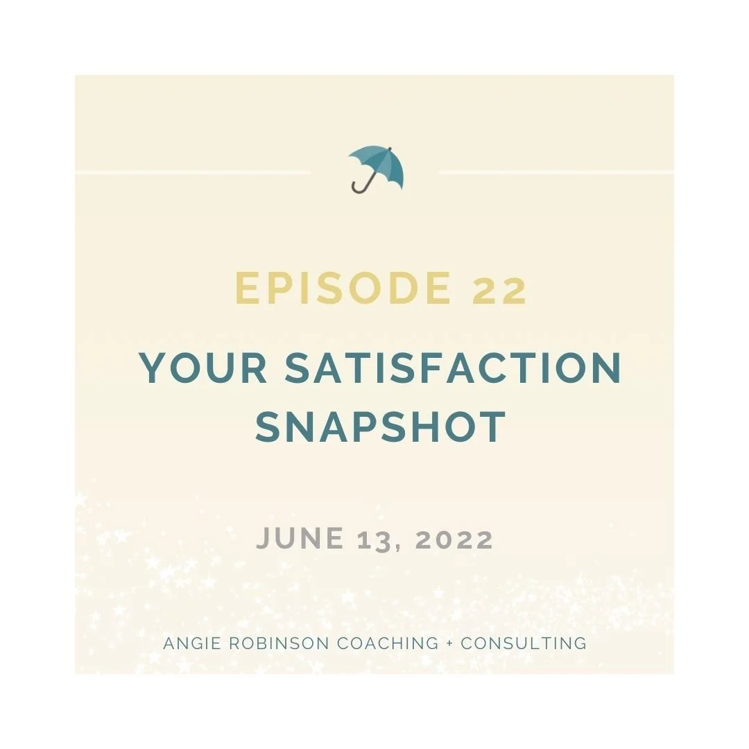 Episode 22:  Your Satisfaction Snapshot