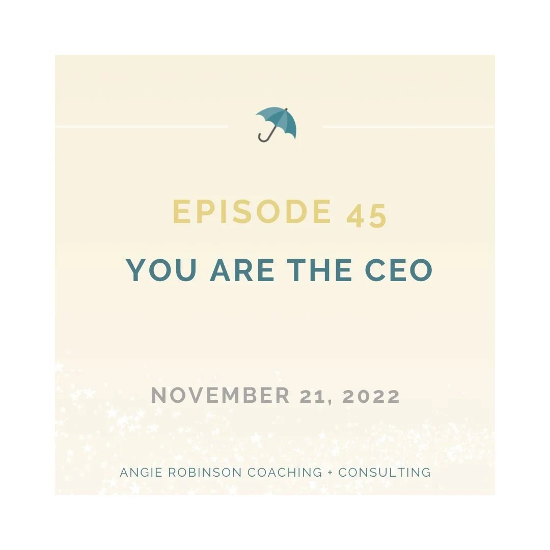 Episode 45:  You are the CEO