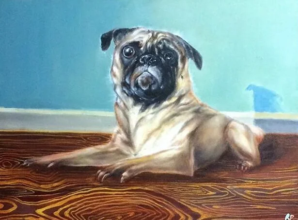 rose distorted pug.jpeg