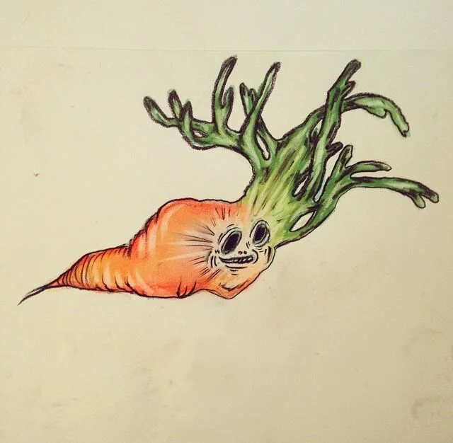 rose drawing 27.jpeg