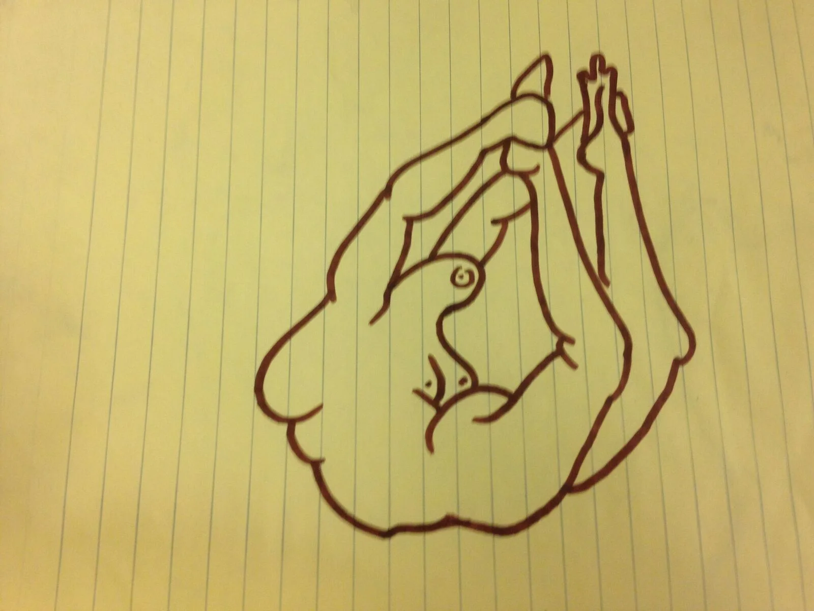 rose drawing 24.jpeg