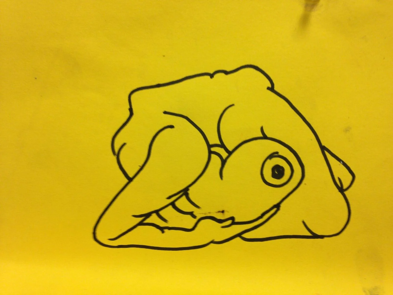 rose drawing 20.jpeg