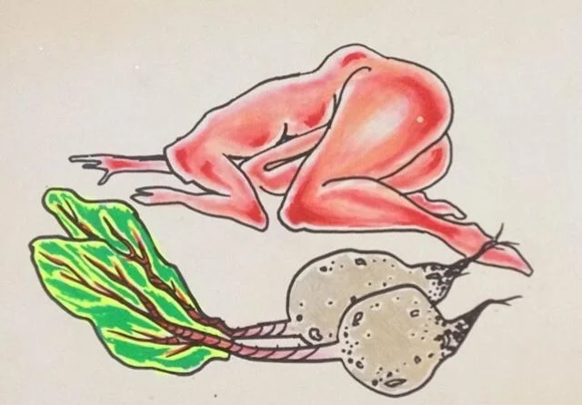 rose drawing 11.jpeg