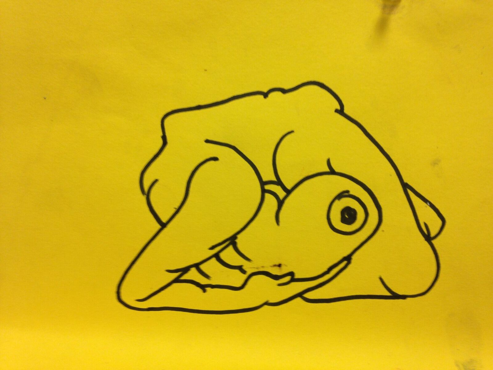 rose drawing 20.jpeg