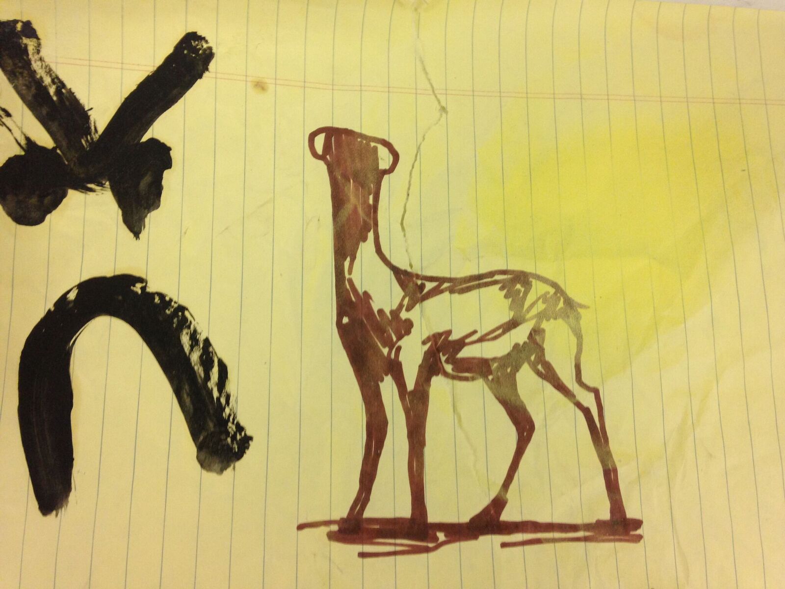 rose drawing 22.jpeg