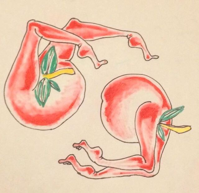 rose drawing 14.jpeg