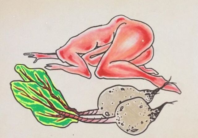 rose drawing 11.jpeg