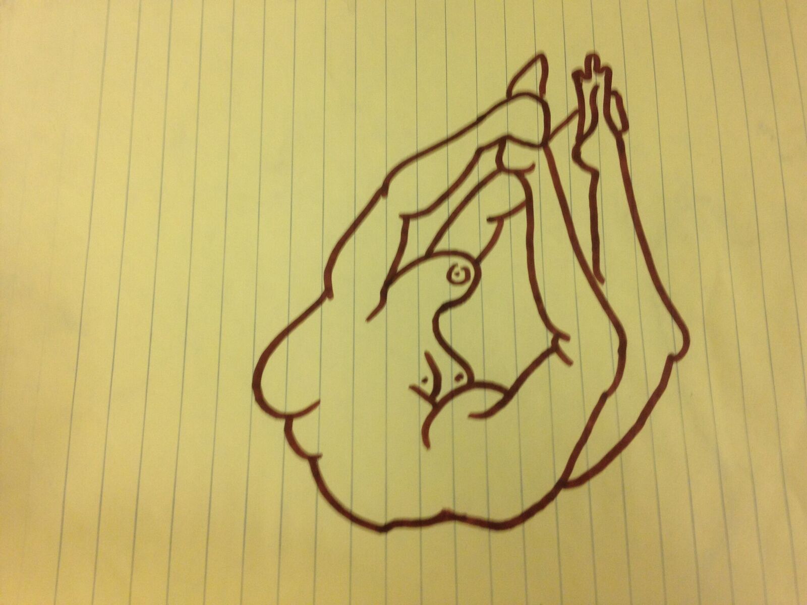 rose drawing 24.jpeg