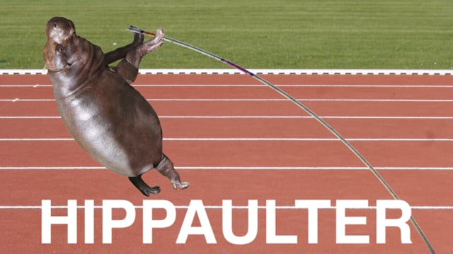 Hippo + Polevaulter Video