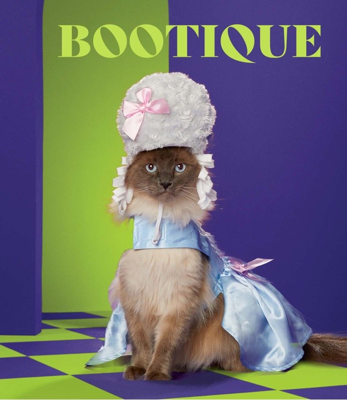 Halloween Cat Costume