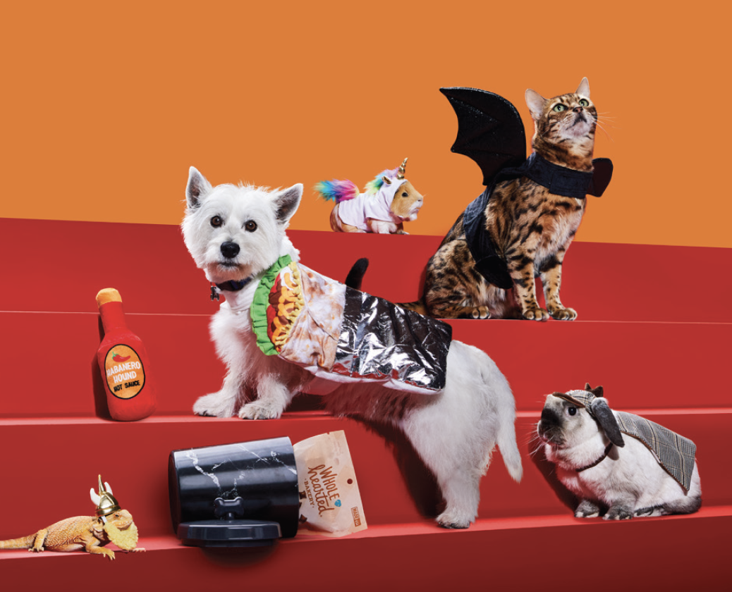 Assorted Halloween Toys & Costumes