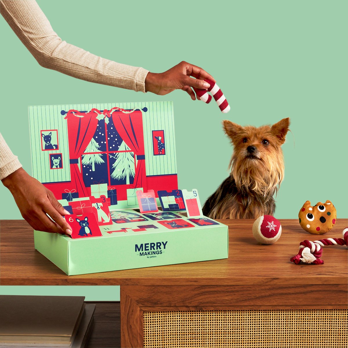 Small Dog Toy Holiday Advent Calendar