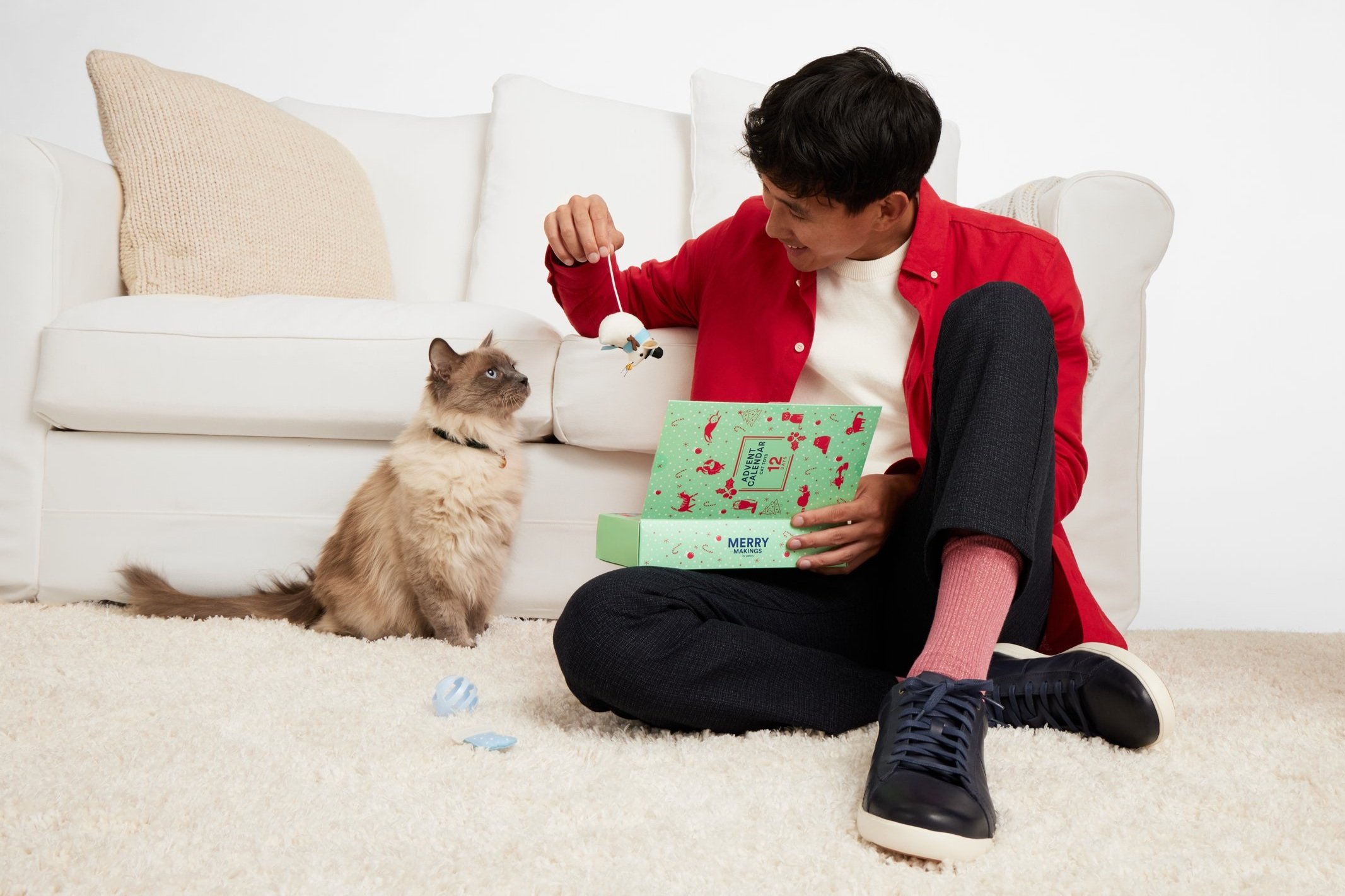 Cat Toy Advent Calendar