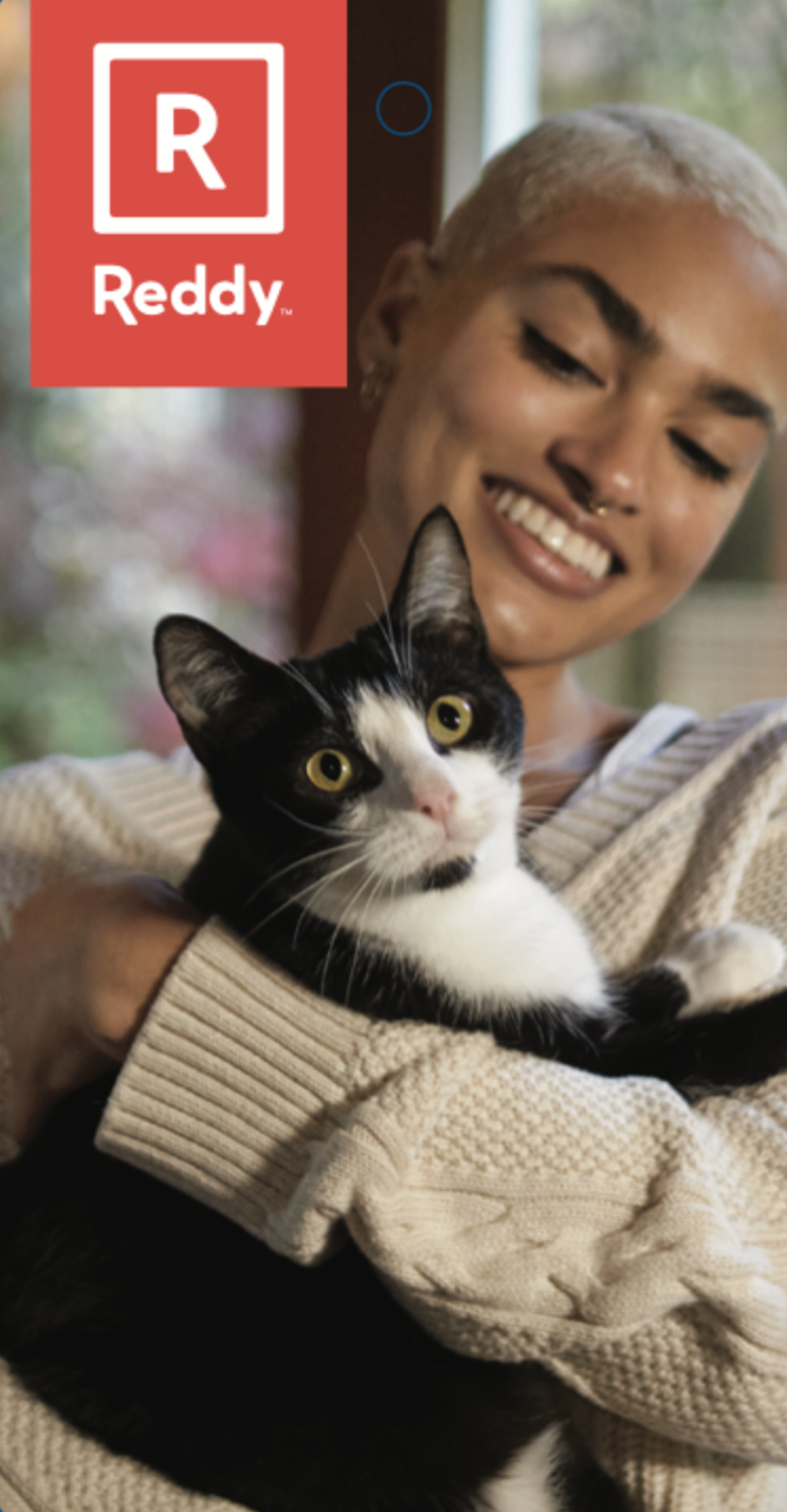 Reddy Cat.01.png