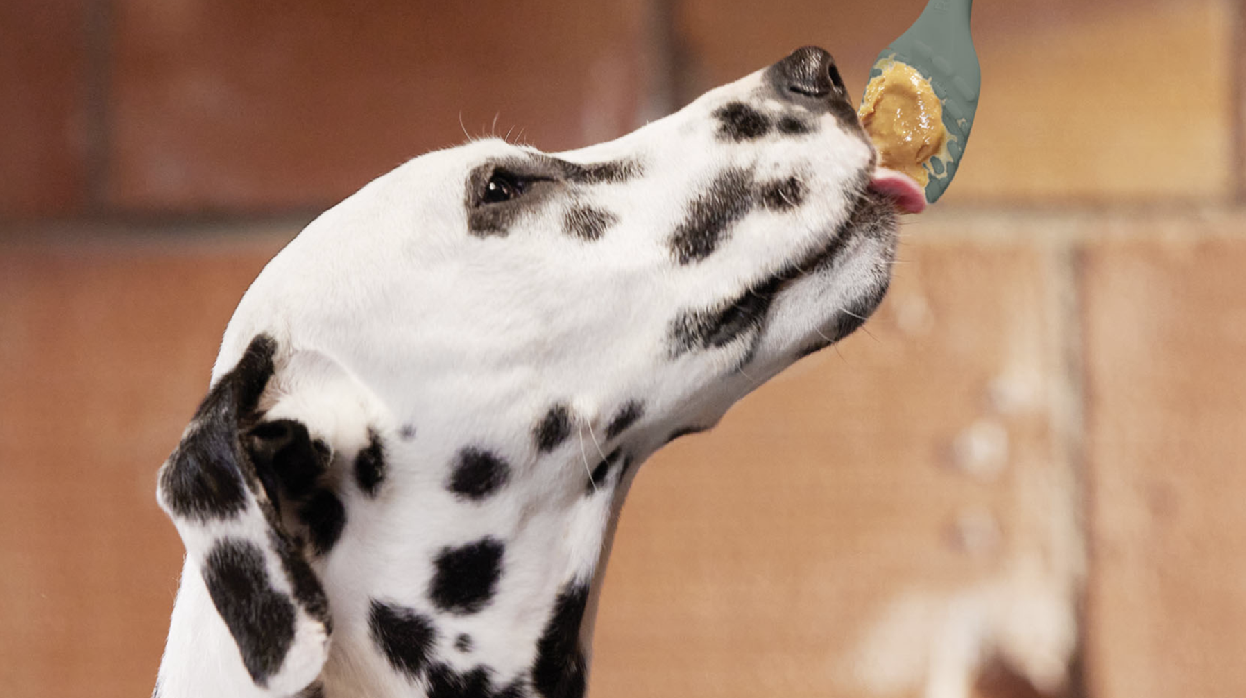 Reddy Kitchen.02.png