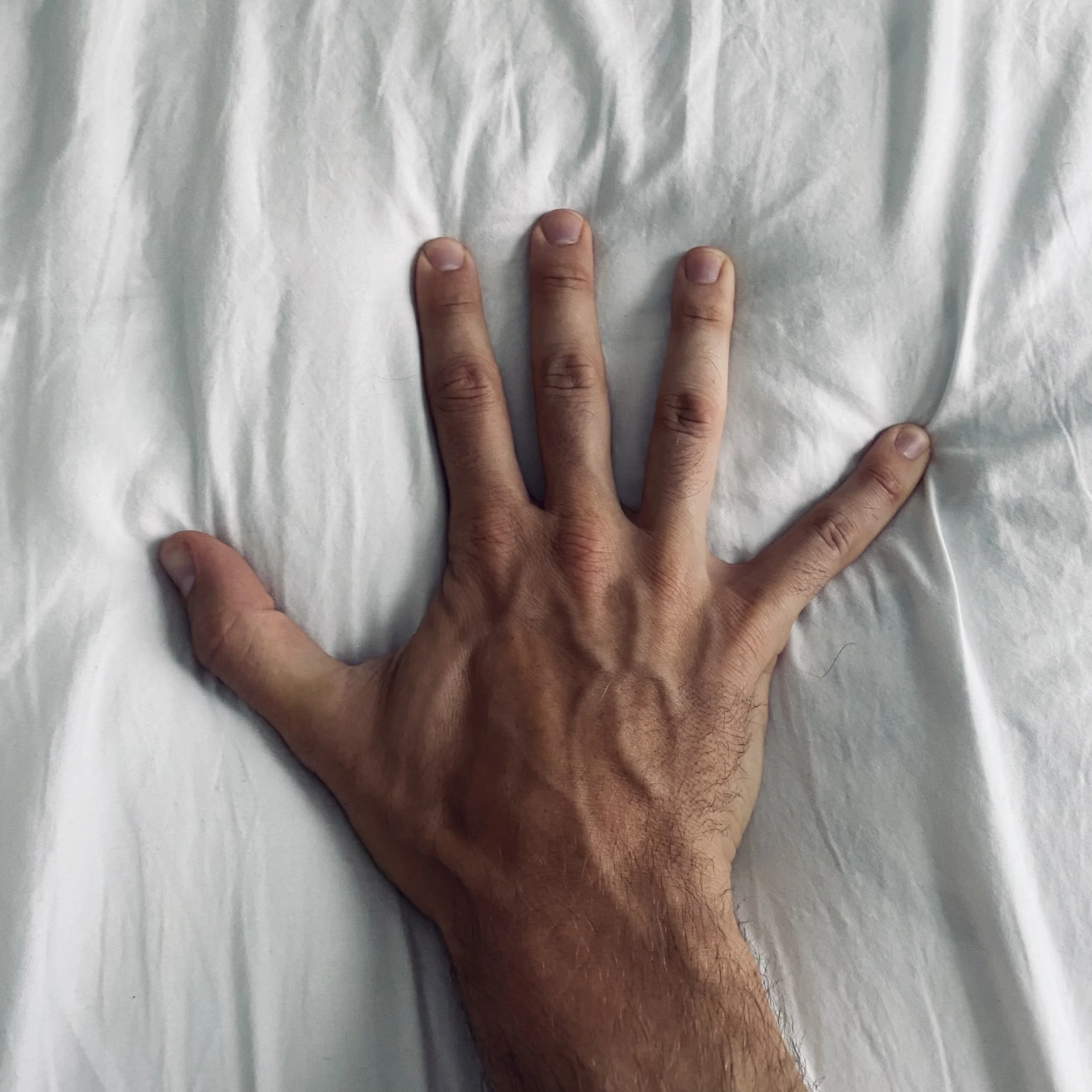 Vacation House Cover Art.jpeg