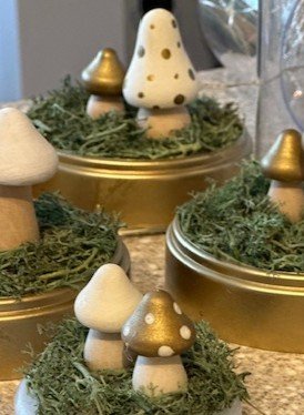 DIY muchroom crystal kits in process.jpg