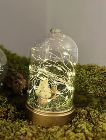 Mushroom cloche kit completed 2024.jpg