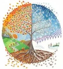 Ayurveda Seasons Image.jpeg