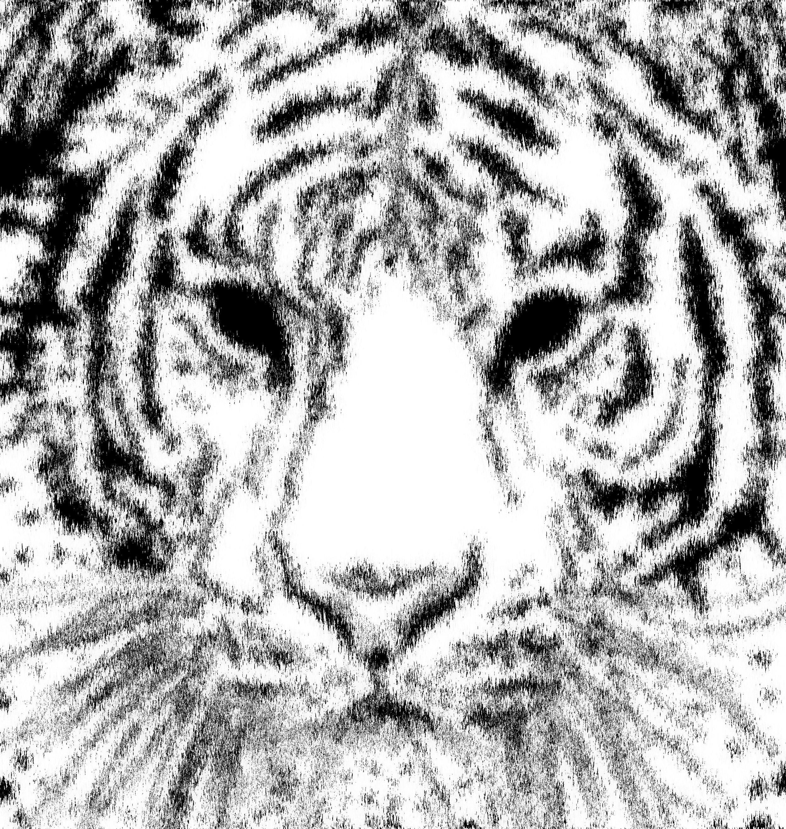 Tiger (2022)