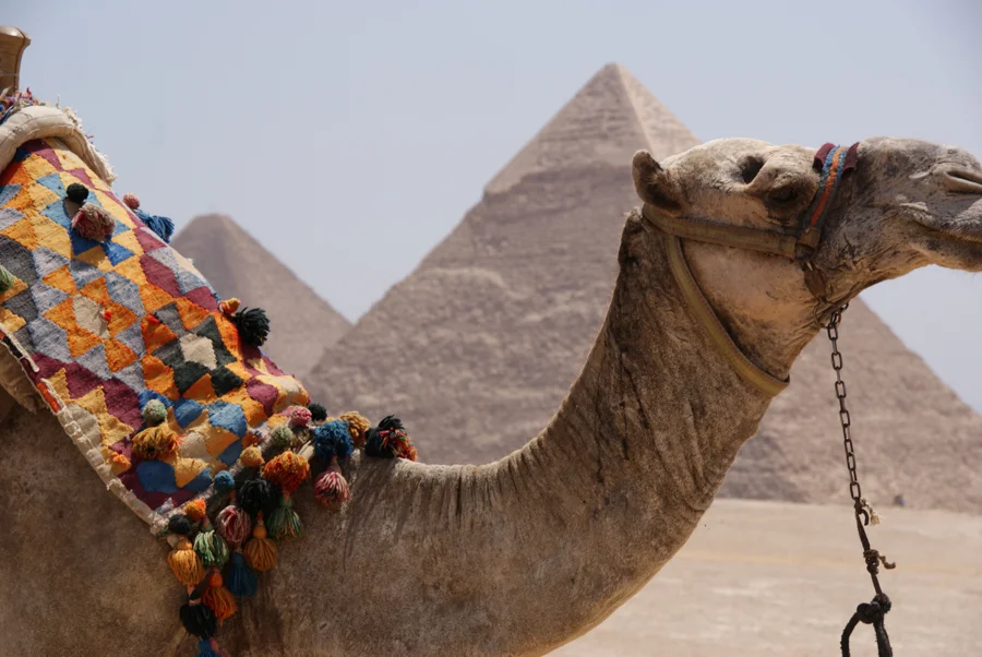 Web_travel_02.jpg