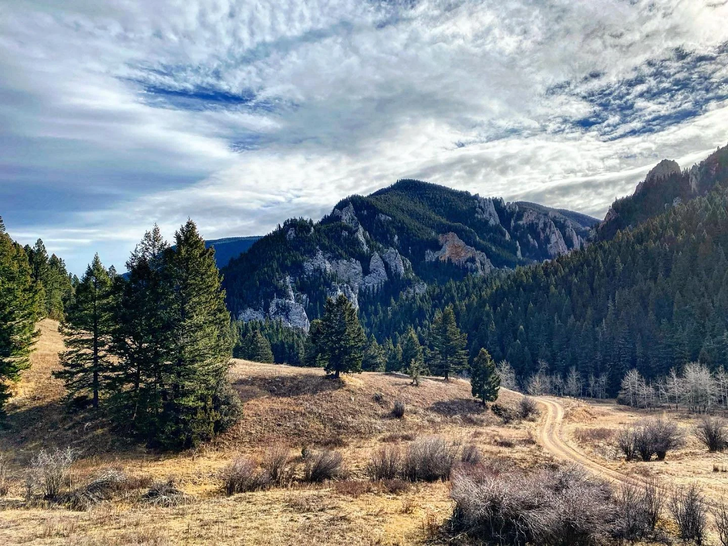 Took a longer hike with Adele on Sunday exploring some new areas.  Fingers crossed for snow and skiing soon, but was at least nice to explore while the waiting game continues&hellip;. #hike #hiking #hikingadventures #hikingislife #hiker #fallhike #fa