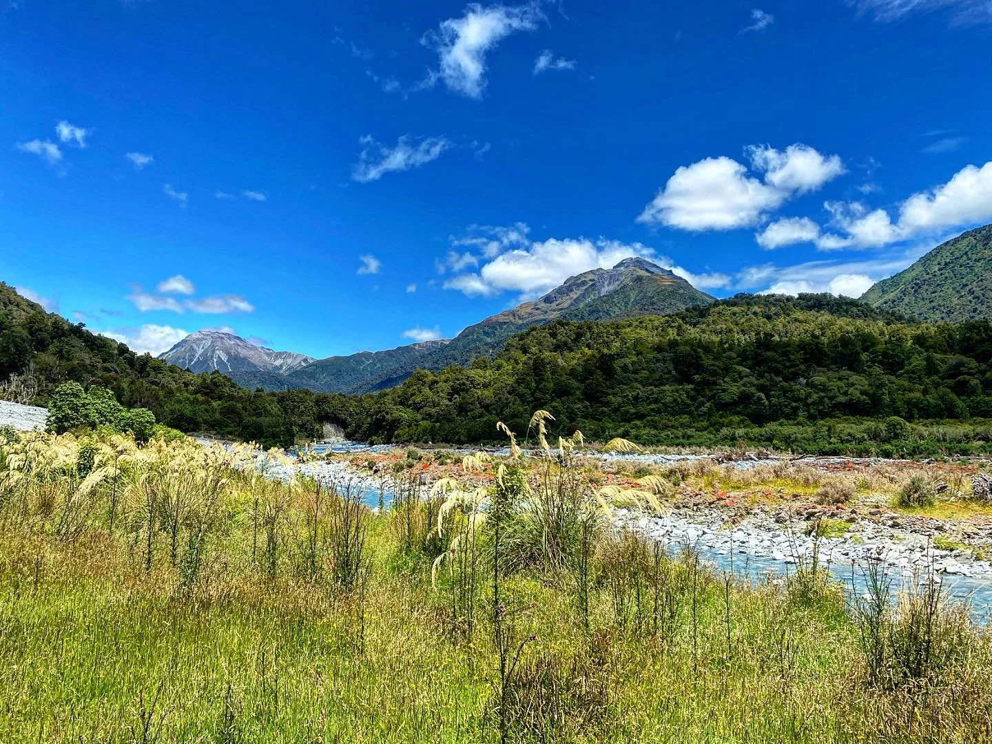 A beautiful day hiking up the Taipo River!  Not going to lie, being in summer and then returning to this nothingness that is winter 2026 is making me ready for summer already.  Or actual winter.  Pretty much anything except this bland, blah, brown se