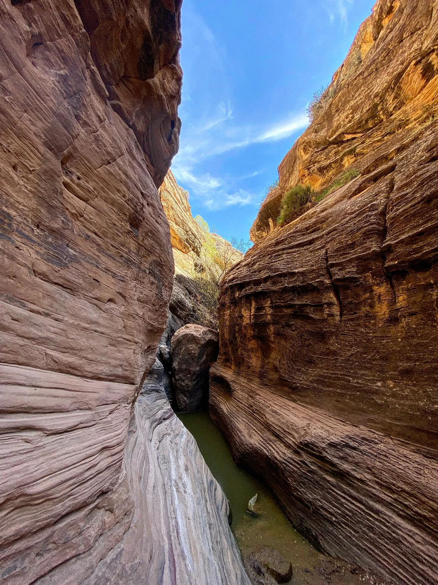 Exploring a fun little desert canyon during our recent desert trip.  The road down the main canyon is heavily used and about the furthest thing from seclusion, but just stepping off into this side canyon felt like the ultimate desert seclusion.  Neve