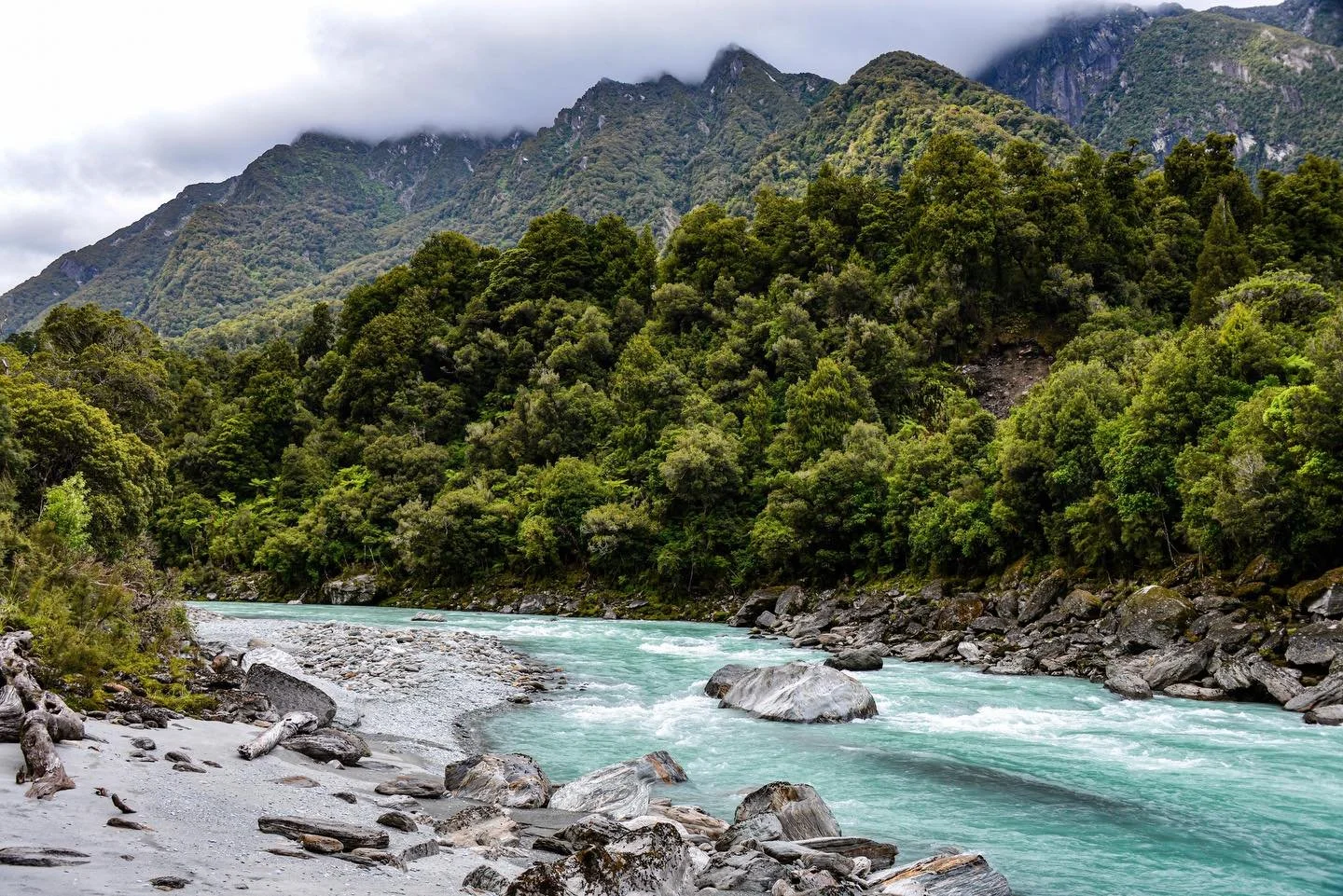 Hiking up the Copland River back in January.  The turquoise of the river and the lush forest made for quite the backdrop!  Had an amazing time exploring NZ, sure hope to go back someday!  #hike #hiking #hikingadventures #newzealand #travel