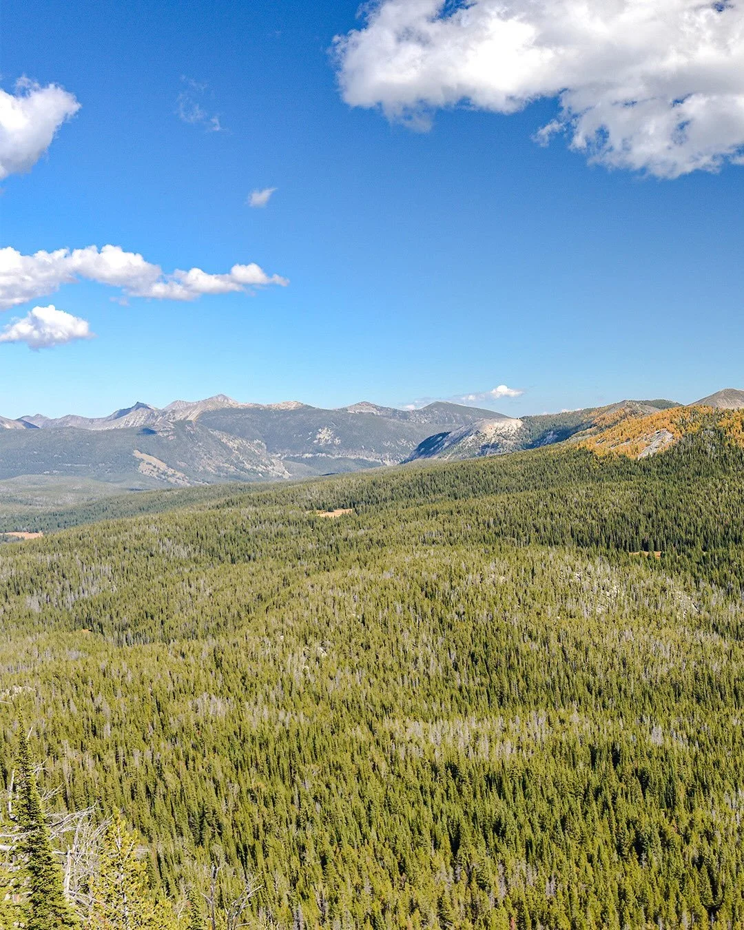 Stunning early fall view across the &ldquo;back yard&rdquo; from the top of a new peak!  Always fun to get out and explore some new country.  Can&rsquo;t wait for the next adventure!  #hike #hiking #hikingadventures #cabinlife #mountaincabin