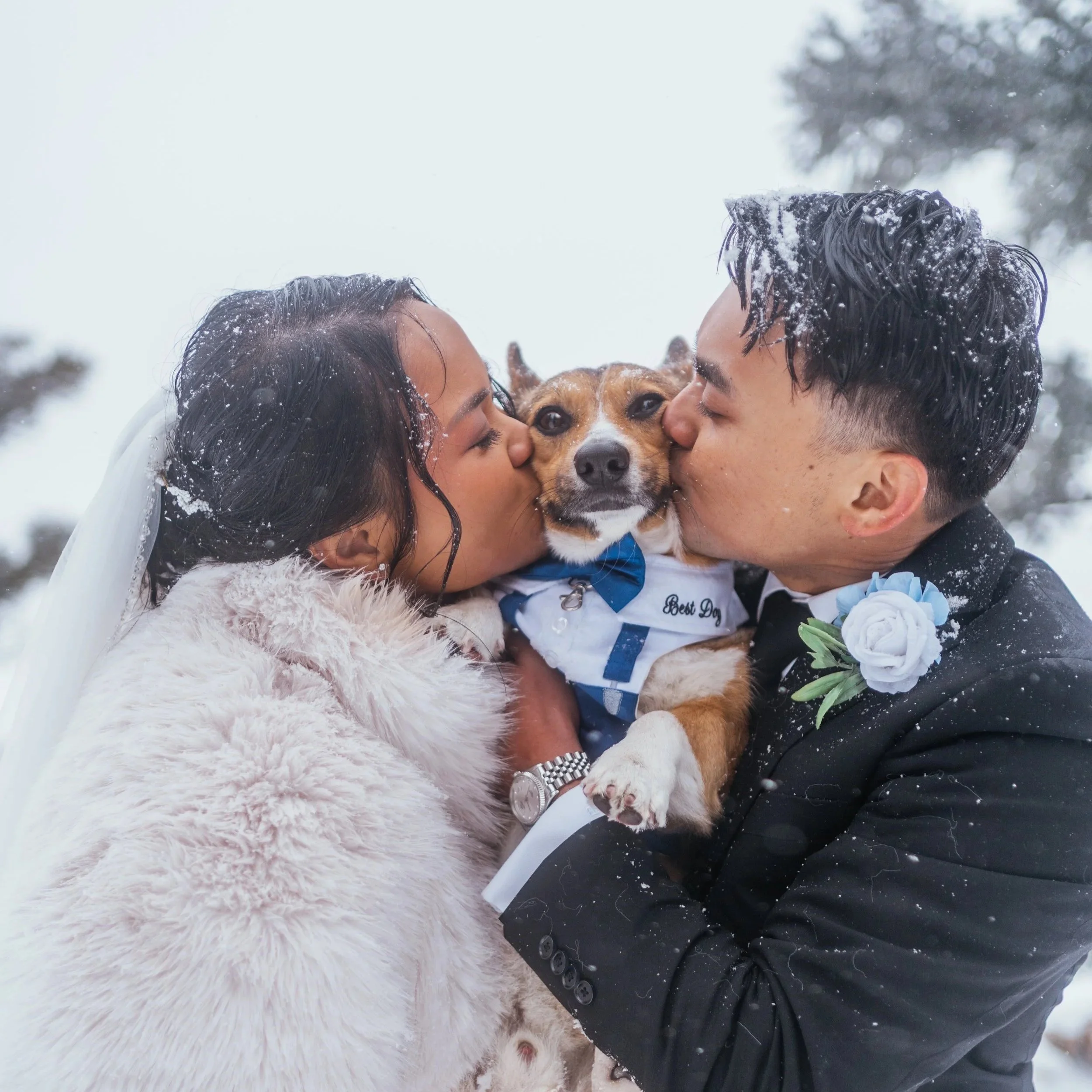 Gela+and+TJ+-+Elopement+-+134.jpg