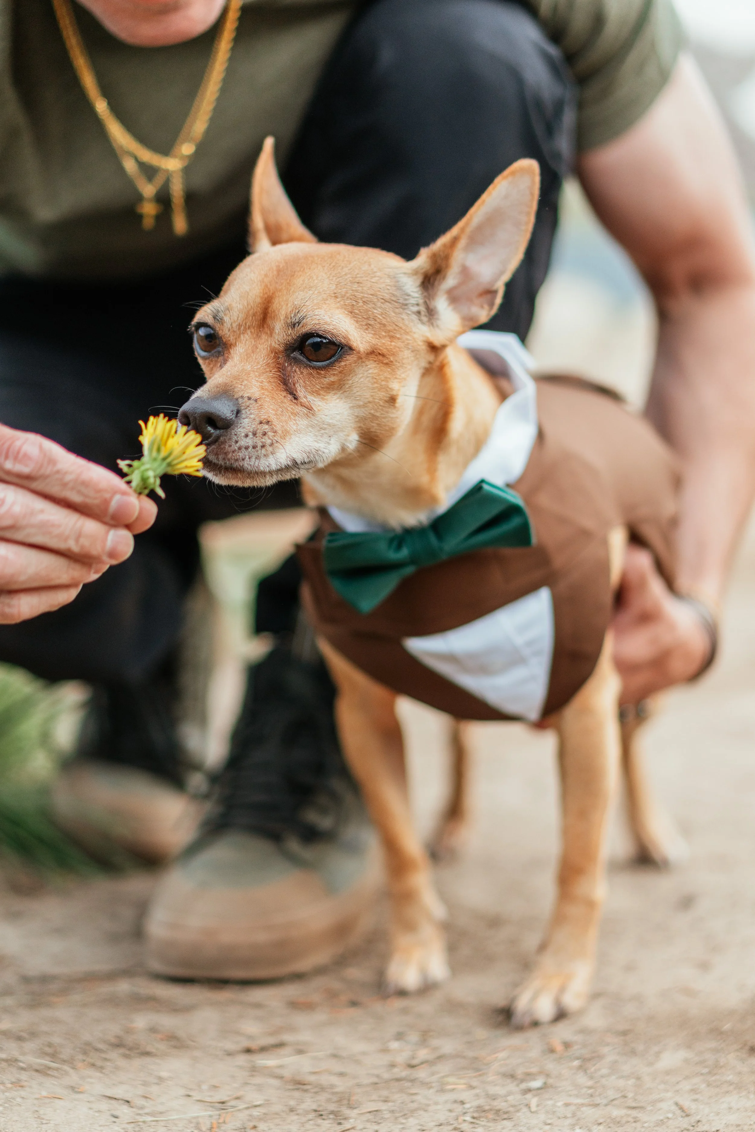 Nick and Lexi - Elopement - 14.jpg