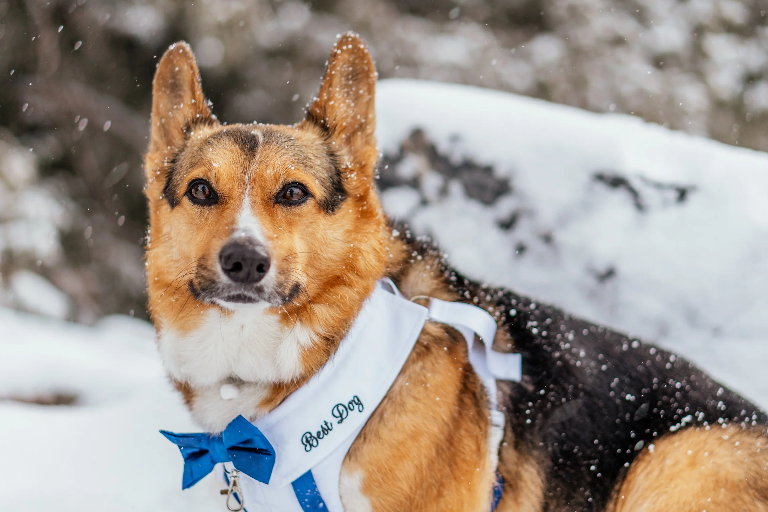 Gela and TJ - Elopement - 76.jpg