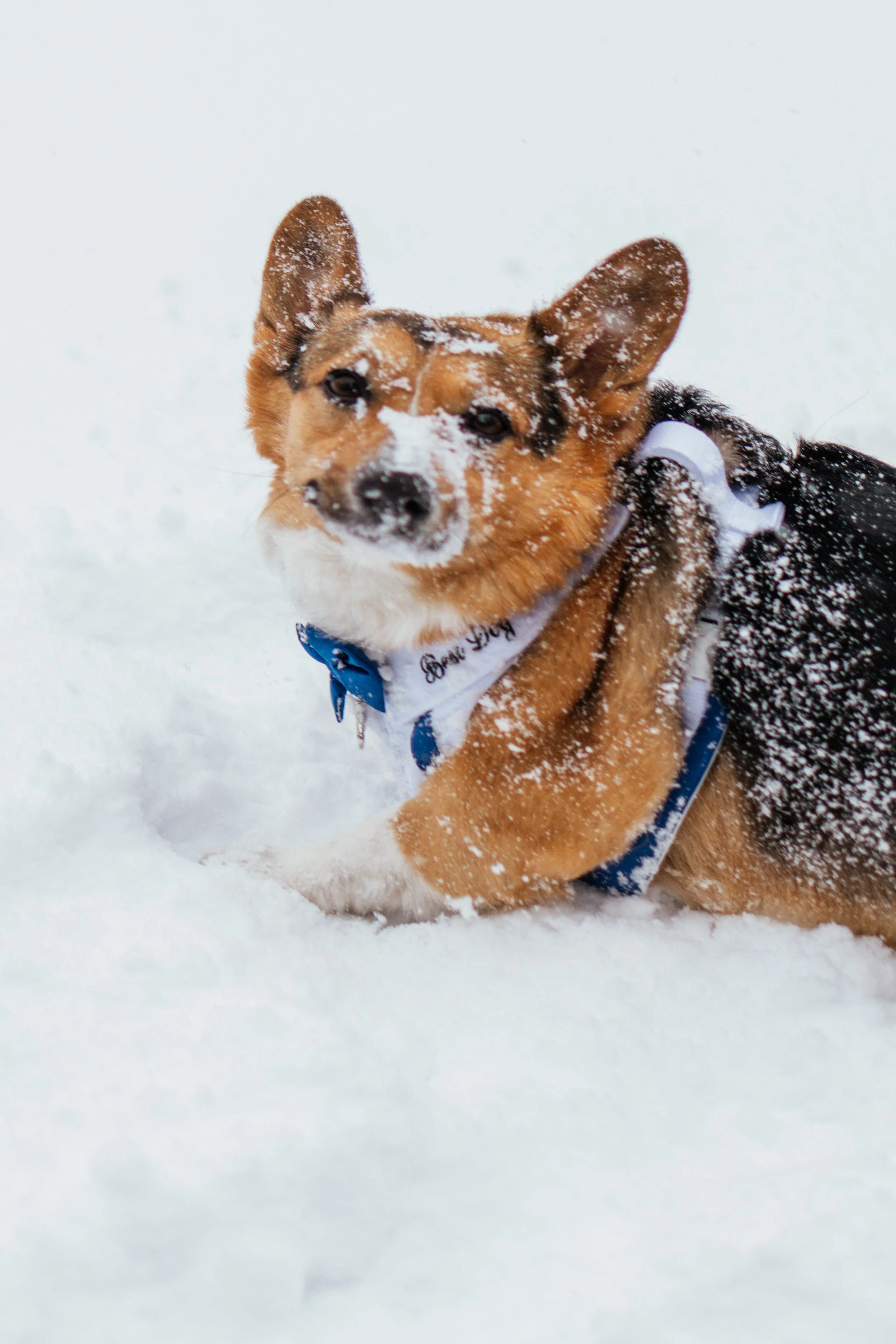 Gela and TJ - Elopement - 71.jpg