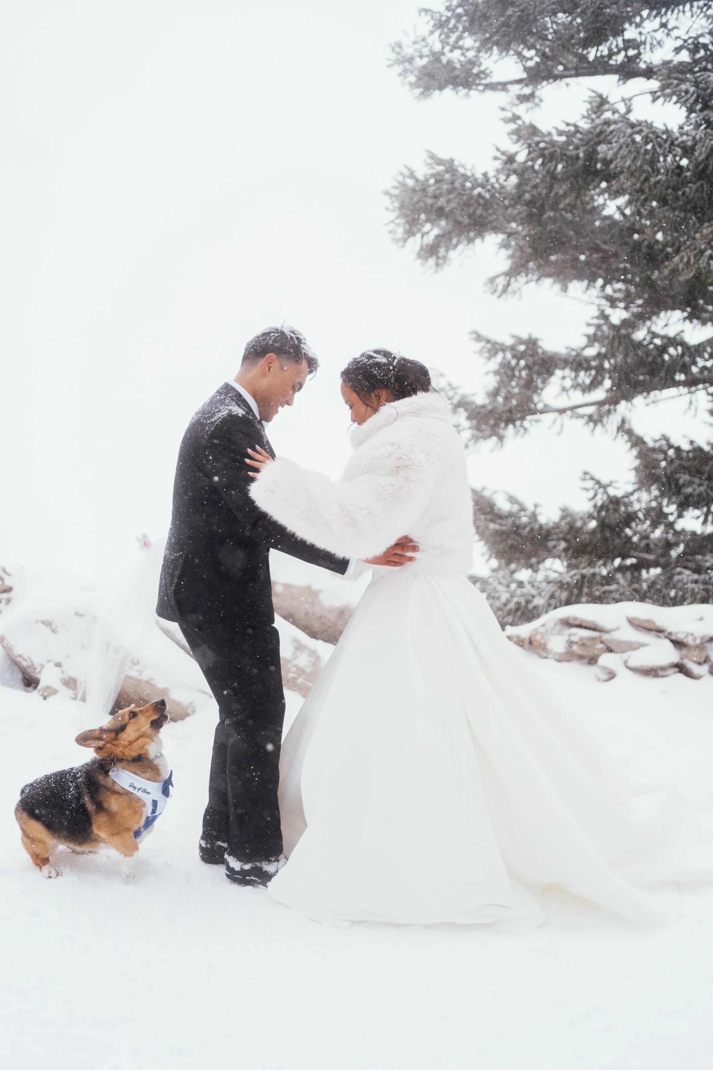 Gela and TJ - Elopement - 120.jpg